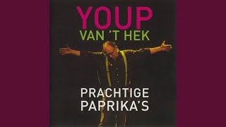 Video thumbnail of "Youp van 't Hek - De Liefde Liegt (Lied)"