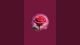 Gharelu Nuskhe is live!