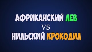 ЛЕВ против КРОКОДИЛ. Кто сильнее нильский крокодил или африканский лев ??(Голосуй тут ▻ http://bit.ly/LIONvsCROCODILE ПОДПИШИСЬ НА НОВЫЕ ВЫПУСКИ ▻ http://bit.ly/SAMOESAMOE Мы Вконтакте ..., 2016-01-19T10:52:01.000Z)