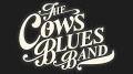 Video for The Cows Blues Band