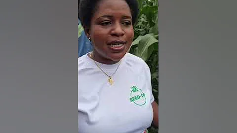 SeedCo Group Agronomy 85th Anniversary INSIGHTS (Tip 72 of 85) #Malawi