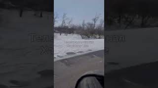 Разбитая колонна бронетехники и легковых автомобилей на трассе в Старый Салтов, Харьковская область