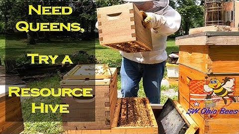Need Queens Try Resource Hives