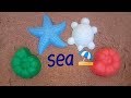 Learn Colors for Children Sand Molds Sea Seashells Starfish and sea turtle