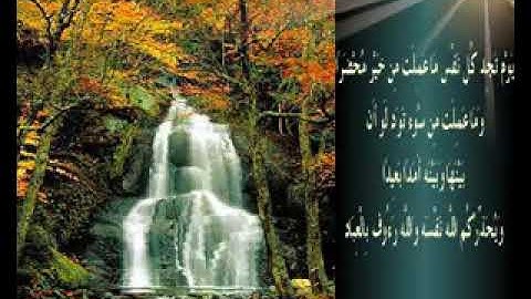 تلاوة خاشعة للشيخ علي آل ياسين حفظه الله