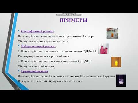 Кузьмич Е. С.  Задачи и методы качественного анализа.