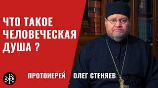 Что такое человеческая душа? | Протоиерей Олег Стеняев