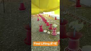 #poultry #top #farm #poultryfarm #poultryfarm #agriculture #low #exhaust #birds #farming #farming #p