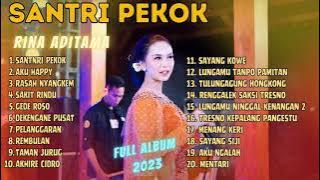 RINA ADITAMA - SANTRI PEKOK | AKU HAPPY | FULL ALBUM 2023