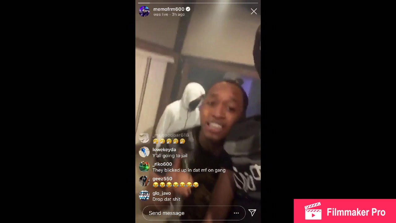 Memo600 and Timo In the studio cooling with CT savages