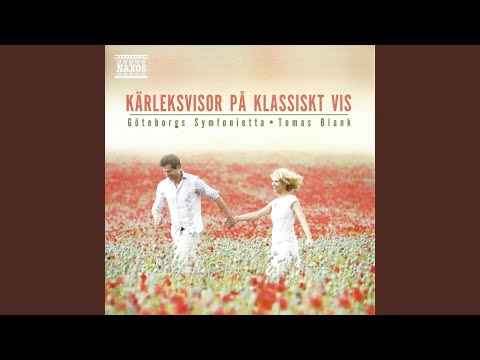 Jag ger dig