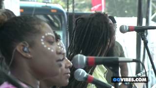 Ziggy Marley performs &quot;I Get Up&quot; at Gathering of the Vibes Music Festival 2014