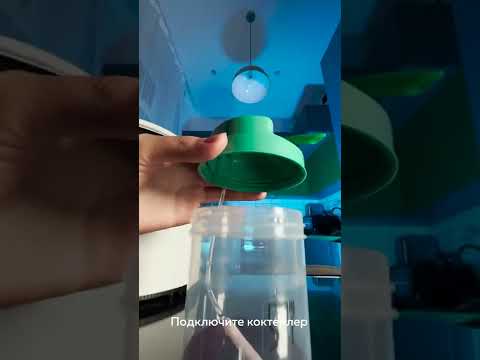 Кислородные коктейли! Ссылка в описании.