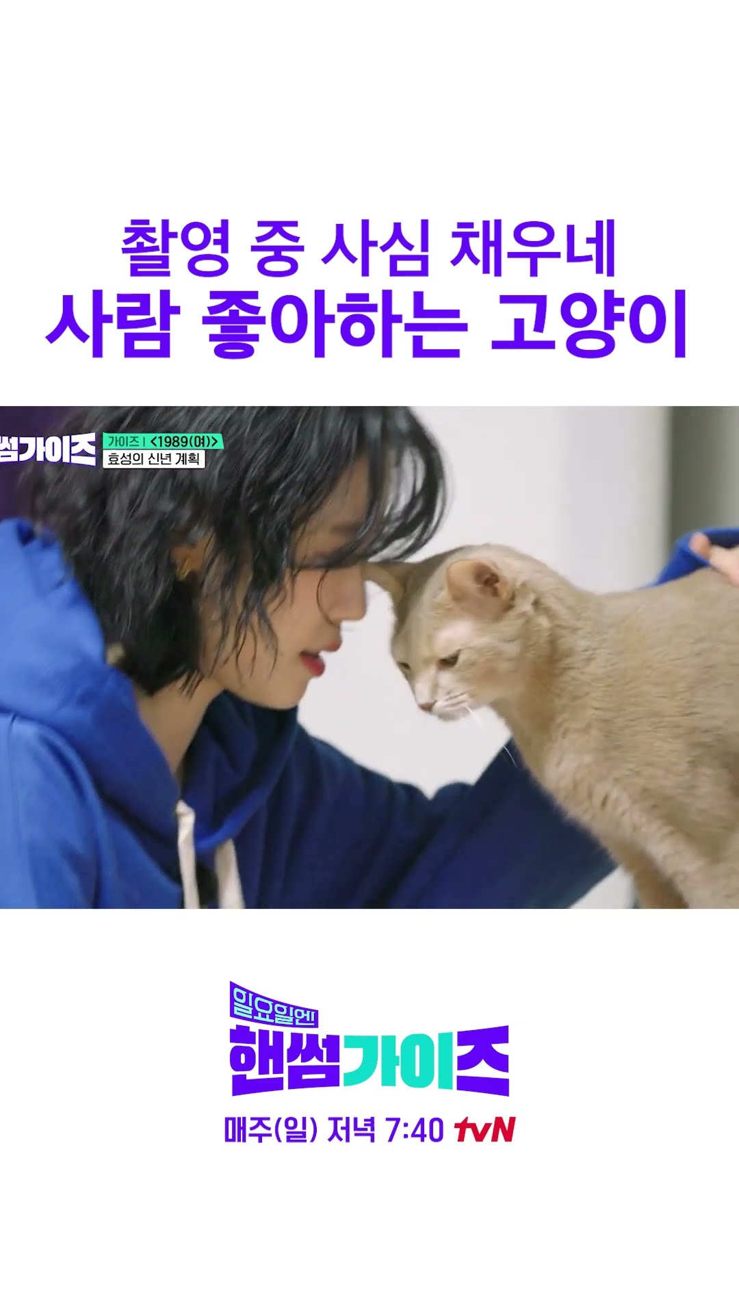 A cat who is greedy on broadcasting #HandsomeGuysOnSunday
