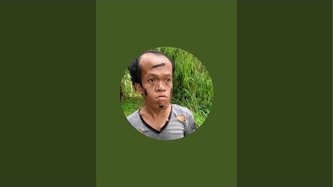 🔴 I Wrapped 999 Rubber Bands Around a Watermelon... Then This Happened