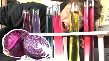 Rainbow Cabbage! Ph Scale Science Experiment for Kids!