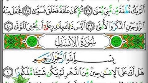 مصحف التجويد صفحة 578 إبراهيم الأخضر 🕋🌲