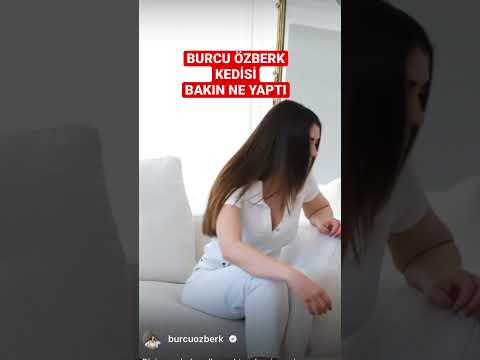 Burcu özberk kedisi bakın ne yaptı.Aşk mantık intikam 42 bölüm fragmanı #shorts #short #burcuözberk