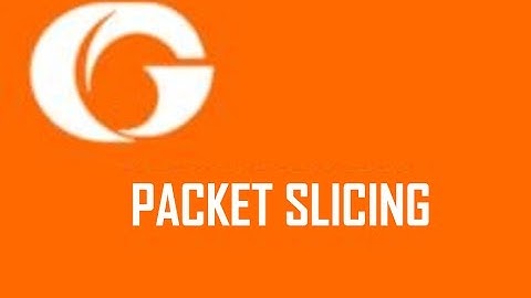 GigaSMART® Packet Slicing