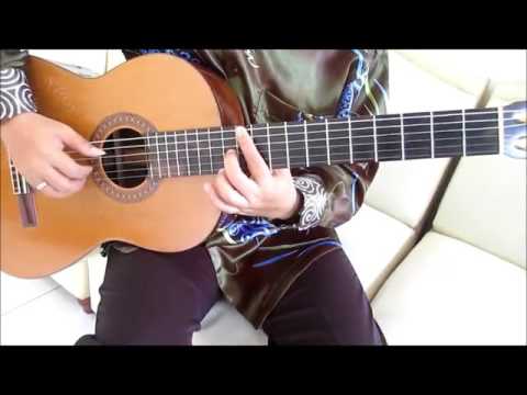 Lost Frequencies Are You With Me Guitar Lesson - Guitar Lessons for Beginners