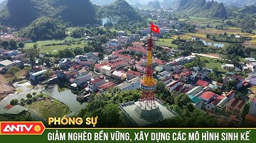 Giảm nghèo bền vững từ giảm nghèo thông tin xây dựng các mô hình sinh kế | ANTV