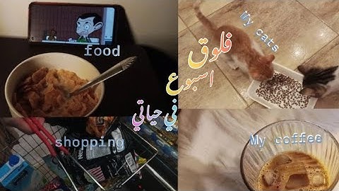 فلوق أسبوع من حياتي: من القهوة الصباحية لتسوق القطط.. يومياتي الساحرة! ☀️🐾 || vlog #2