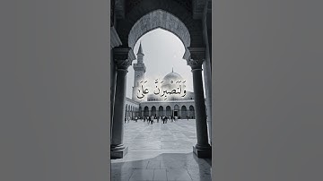 القران الكريم راحة نفسيه 😌🌹 #المصحف