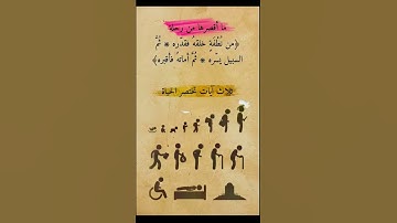 ثلاث آيات تختصر الحياة