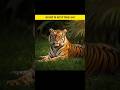 जानवरों के बारे में रोचक तथ्य | Amazing Facts About Animals | Fact Guru 75 | #shorts