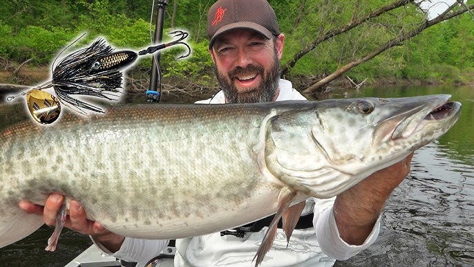 Choosing The Right Reel For Musky Fishing 