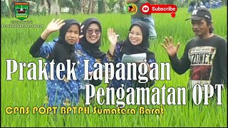 PRAKTEK LAPANGAN PENGAMATAN OPT