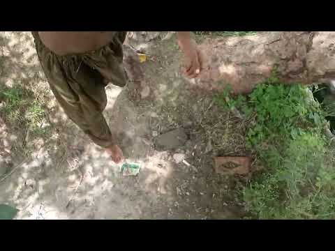 Tubewell Swimming Vlog In Village Pakistan