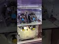 #cnc#machine #reels #tranding #viralvideo #automobile