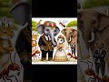 قصة الفيل والنملة قصص طريفة ومضحكة قصة الفيل والنملة قصص طريفة ومضحكة