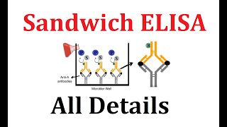 Indirct elisa- https://www./watch?v=5ghb3ua3rvg competitive
https://www./watch?v=qvenkrw4fxk