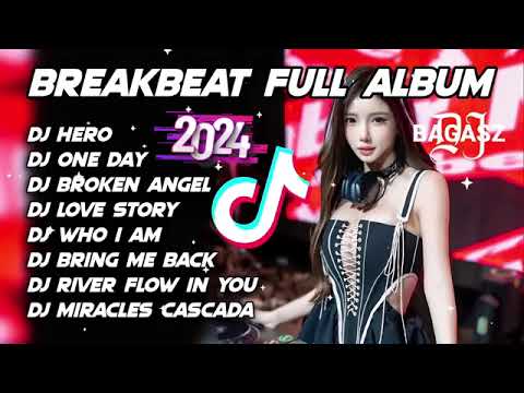 DJ HERO ALAN WALKER REMIX 2024