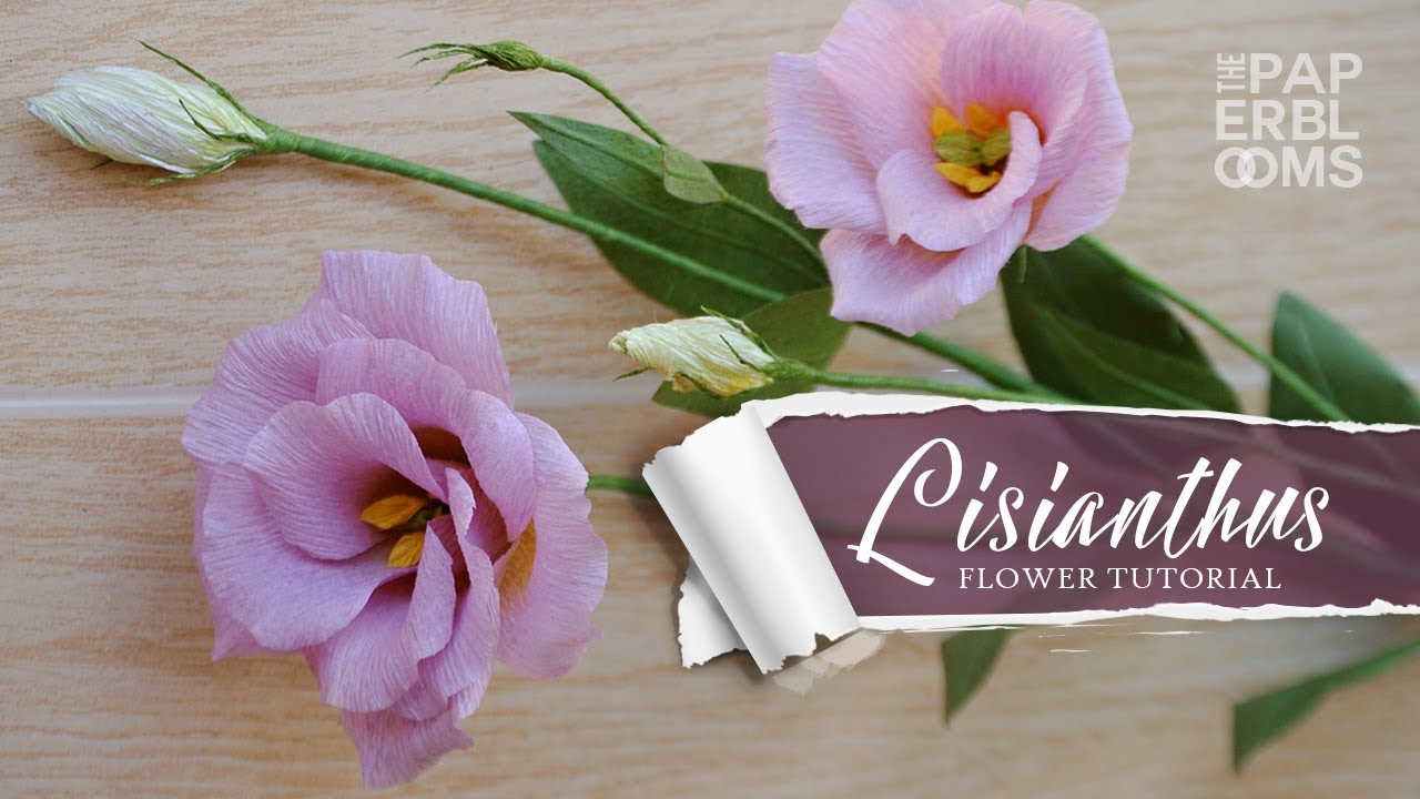 Crepe Paper Lisianthus: How to Make a Full Bloom Lisianthus