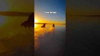 I love horses 😍🐴#horse #horses #porsche #911 #porsche911 #gt3rs #gt3 #gt #rs #sunset #edit #real