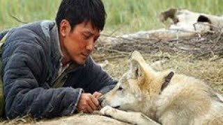 הזאב האחרון (2015) Wolf Totem