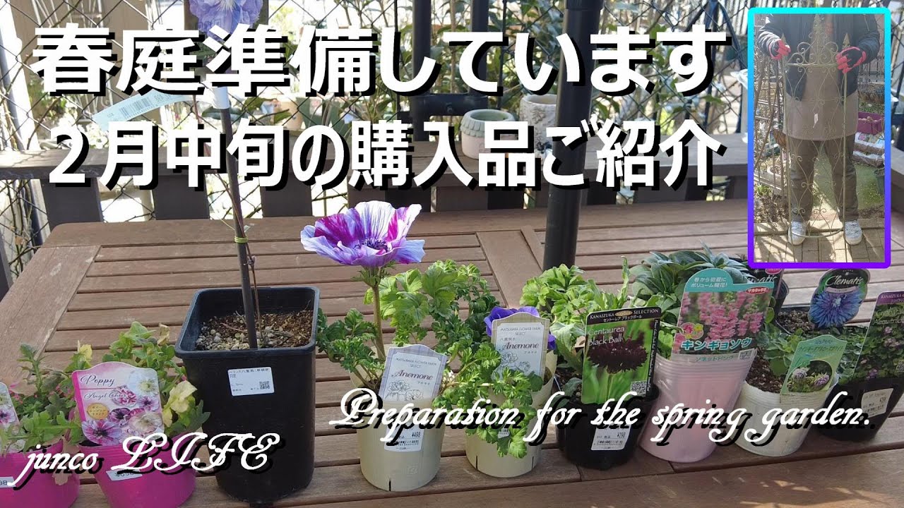 ウィズガーデン＆山新グランステージつくばの購入品紹介と寄せ植え＊猫ちゃん