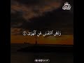 Most Emotional Quran Recitation for Deep Soul Healing and Heart Serenity #HolyQuran #Peace