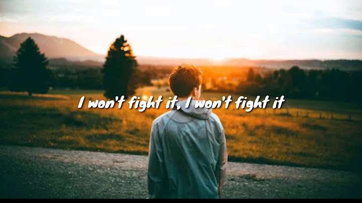 I wont fight it andrew belle lyrics