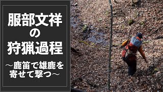 服部文祥の狩猟過程 〜鹿笛で雄鹿を寄せて撃つ〜
