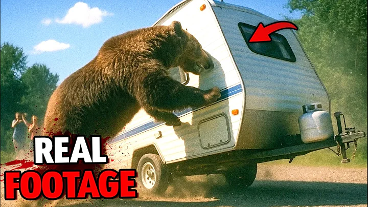 Grizzly Bear Attacks RV Park in Alaska on August 29th, 2025