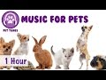 An Hour of Music for Pets! Animal Music, Music to Make Your Pet Happy! Perfect for Birds, Chinchilla