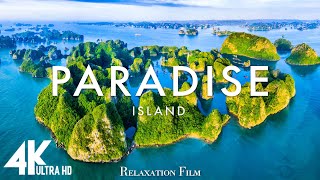 PARADISE 4K - Scenic Relaxation Film With Calming Music screenshot 2