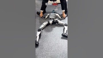 कभी किसी रोबोट के साथ ऐसा मत करना || robot #shortsvideo