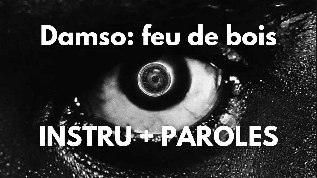 Karaoké Damso feu de bois [Instru + lyrics ] YouTube