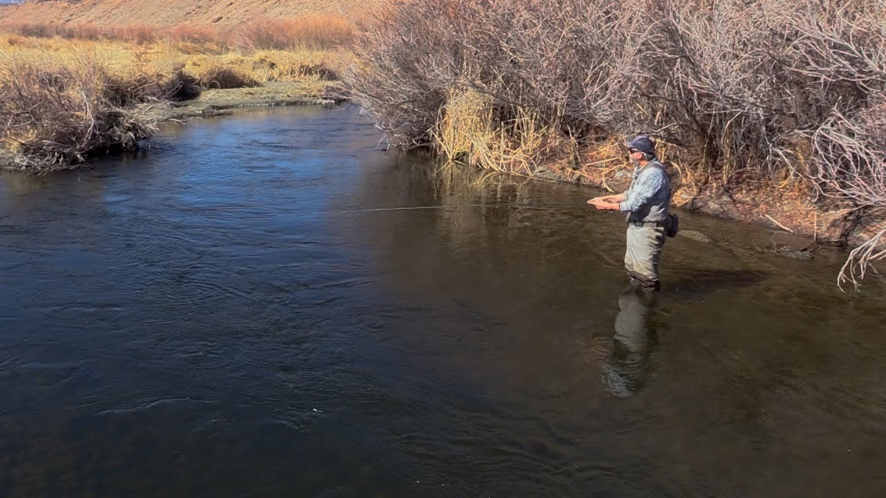 3 Elements in Euro Nymphing on the Owens River with Fly Fishing Guide