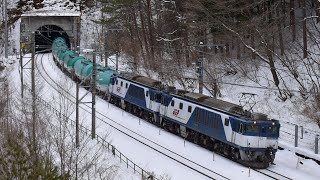EF64更新色重連 2/13 8084レ
